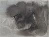 Growth Variation, calligraph print over ink wash, 9