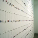 Specimens of choice - close up