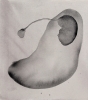 Doubtful Form Series, Gouache on canvas, 2012