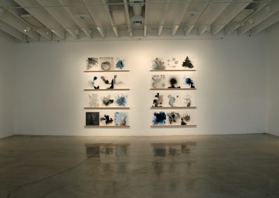 Variant Evolution, installation view